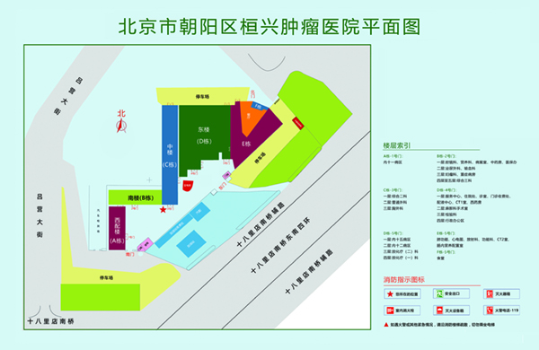 大鸡巴猛操逼视频网址北京市朝阳区桓兴肿瘤医院平面图